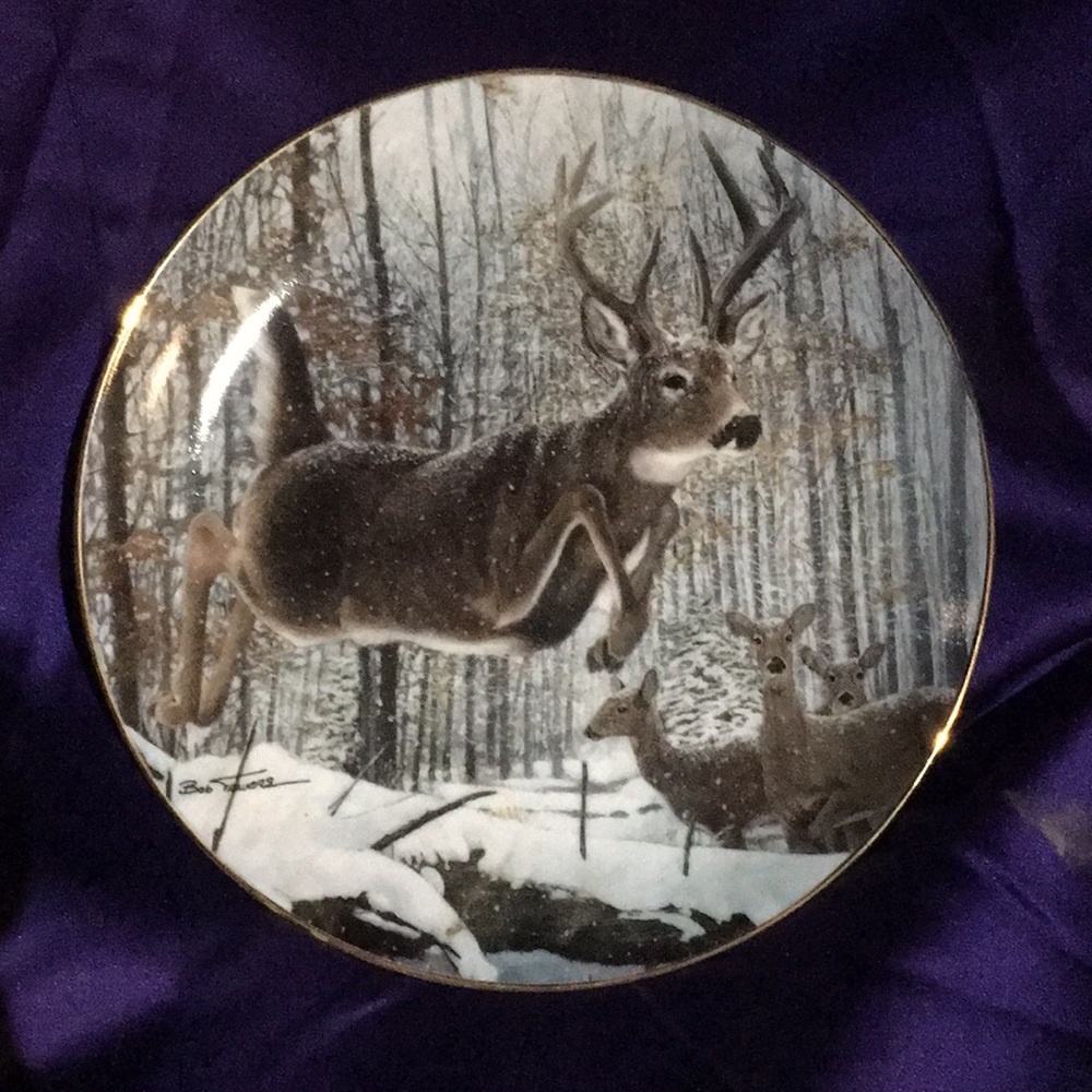 1992 Danbury Mint “Flying High” Collectible Plate (#H8390)